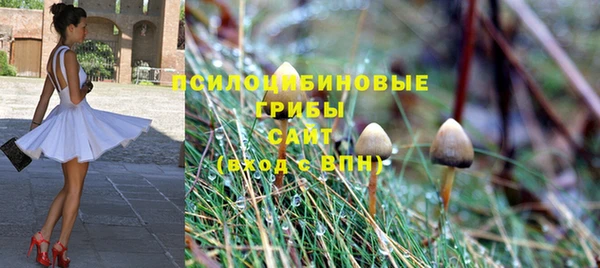 ГАЛЛЮЦИНОГЕННЫЕ ГРИБЫ Вязьма
