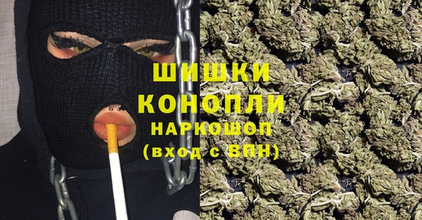 ГАЛЛЮЦИНОГЕННЫЕ ГРИБЫ Вязьма