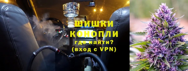 ГАЛЛЮЦИНОГЕННЫЕ ГРИБЫ Вязьма
