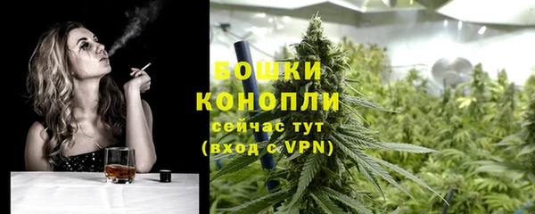 ГАЛЛЮЦИНОГЕННЫЕ ГРИБЫ Вязьма