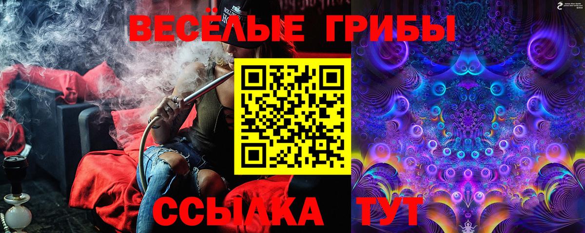 Псилоцибиновые грибы Psilocybine cubensis  Псилоцибиновые грибы Psilocybine cubensis  Вход с VPN  Ноябрьск 