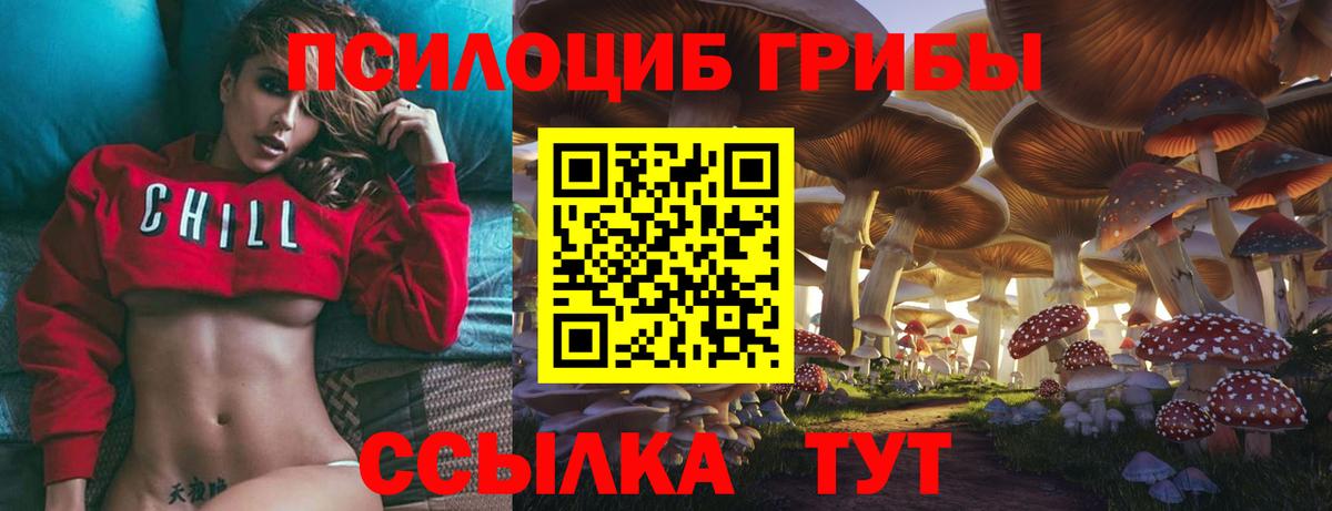 Псилоцибиновые грибы мицелий Ноябрьск