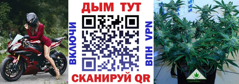 Бошки Шишки гибрид  Ноябрьск 