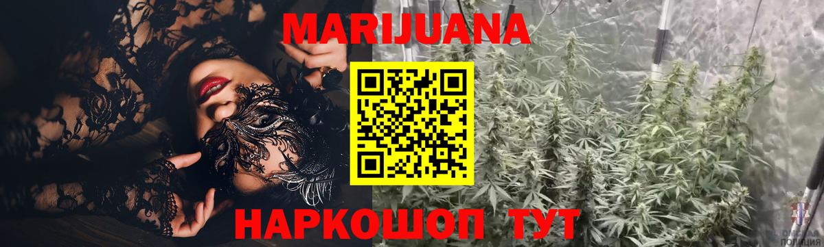 Марихуана индика  Вход с VPN  Канабис план  Ноябрьск  МАРИХУАНА индика  Шишки марихуана SATIVA & INDICA 